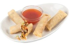 Vegetable Spring Rolls web